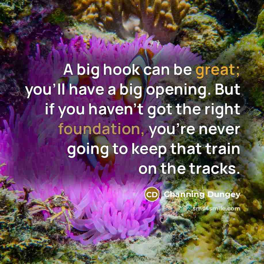 “A big hook can be great; you'll have a big…” quote by Channing Dungey