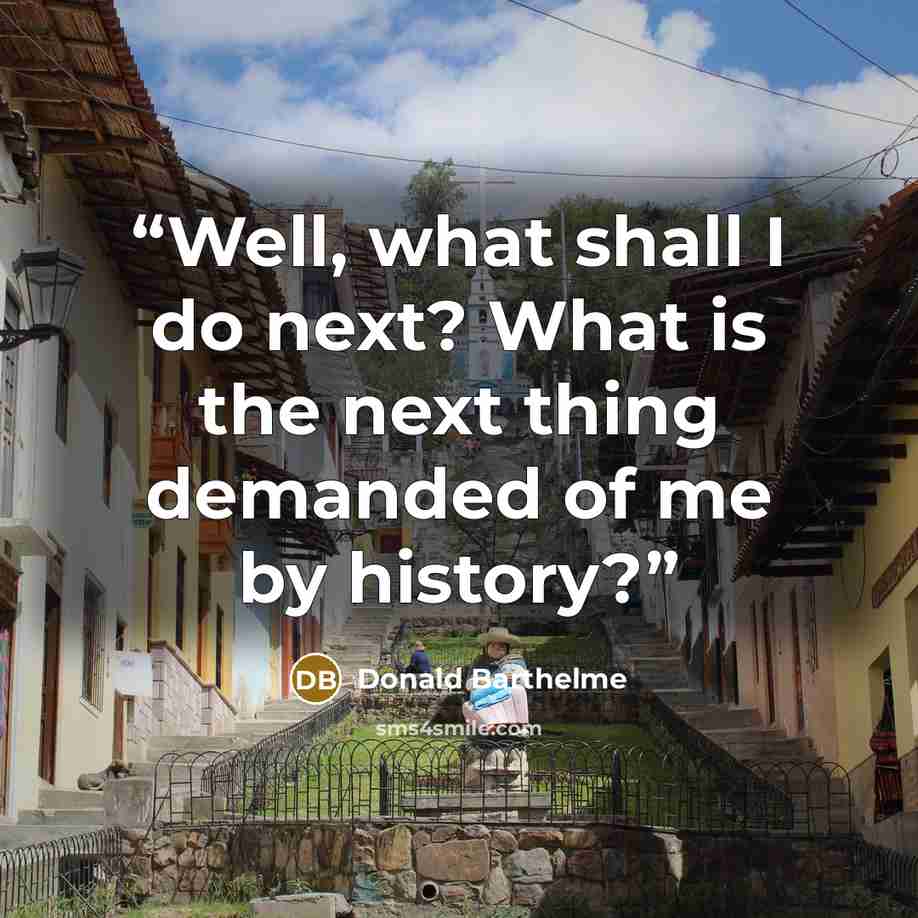 “Well, what shall I do next? What is the next thing demanded of me by history?” quote by Donald Barthelme