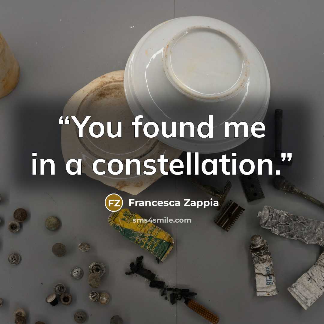 “You found me in a constellation.” quote by Francesca Zappia