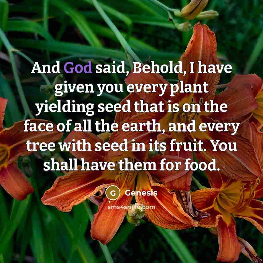 “And God said, Behold, I have given you every plant yielding seed that is on the face of all the earth, and every tree with seed in its fruit. You shall have them for food.” quote by Genesis