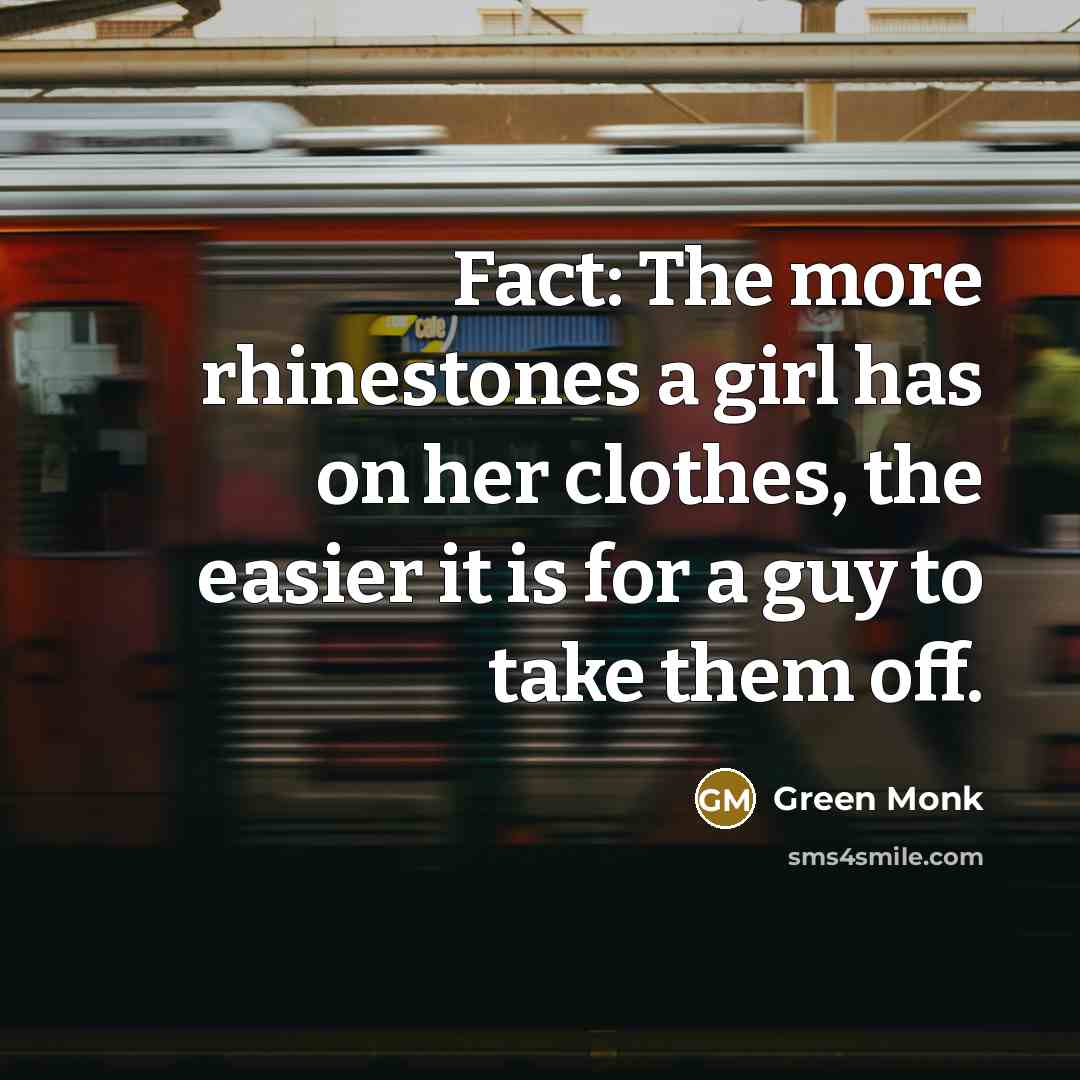 “Fact: The more rhinestones a girl has on her clothes,…” quote by Green Monk