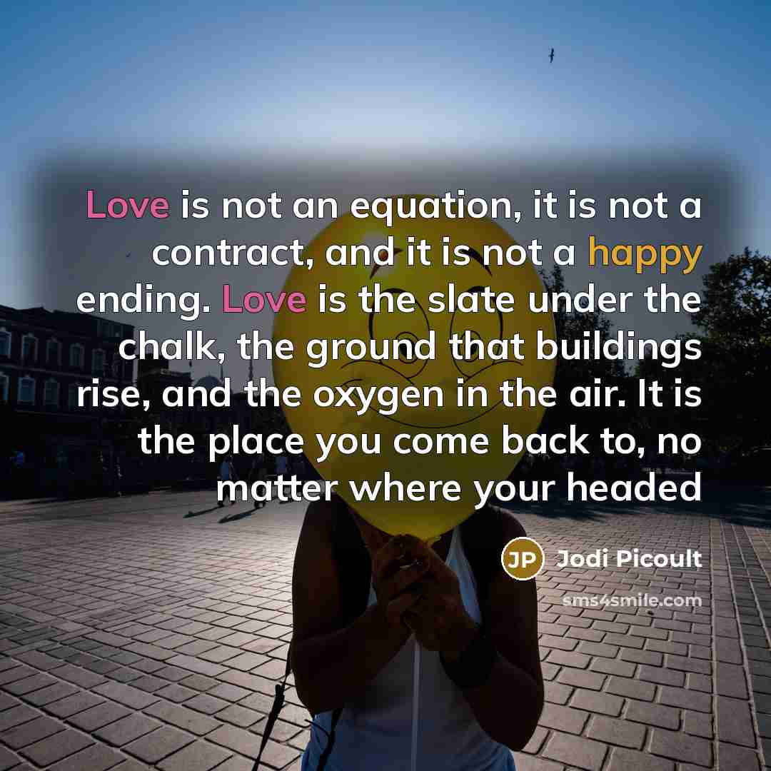 “Love is not an equation, it is not a contract,…” quote by Jodi Picoult