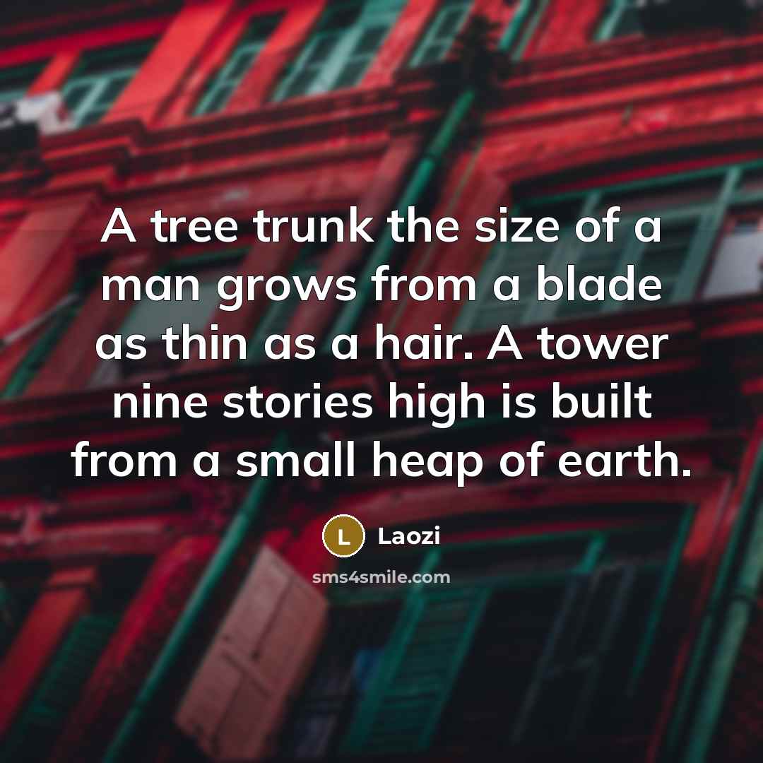 “A tree trunk the size of a man grows from…” quote by Laozi