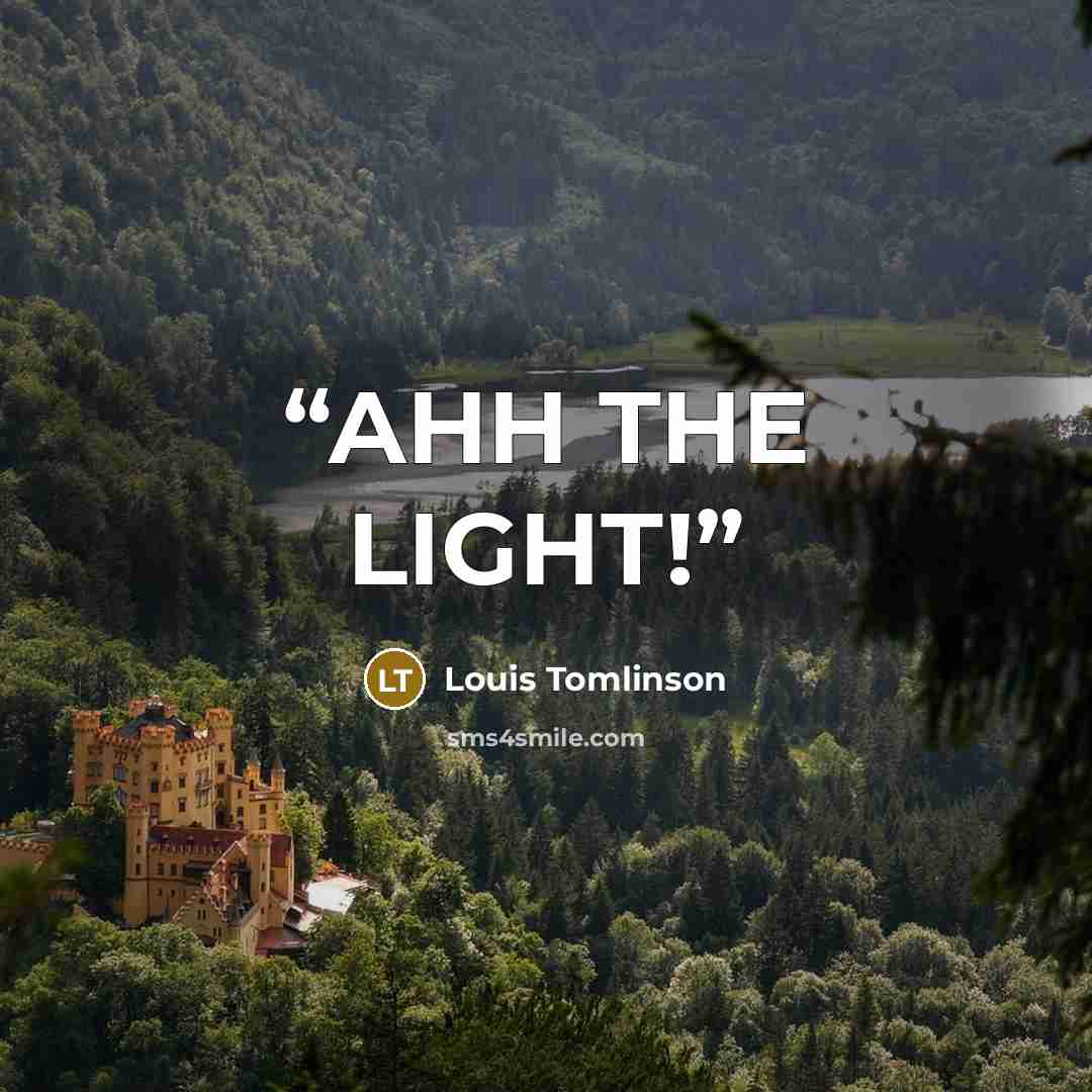 “AHH THE LIGHT!” quote by Louis Tomlinson