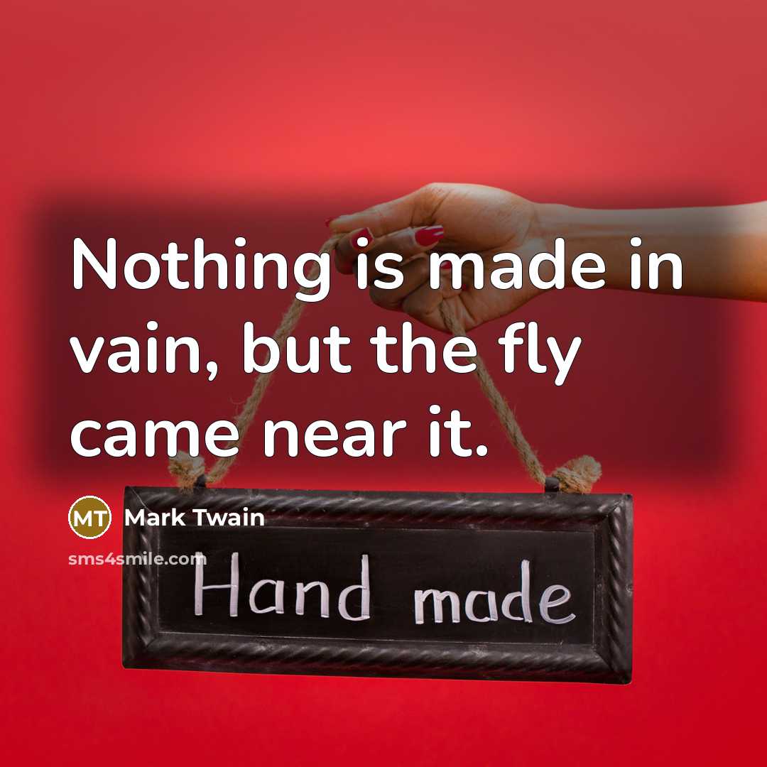 “Nothing is made in vain, but the fly came near…” quote by Mark Twain