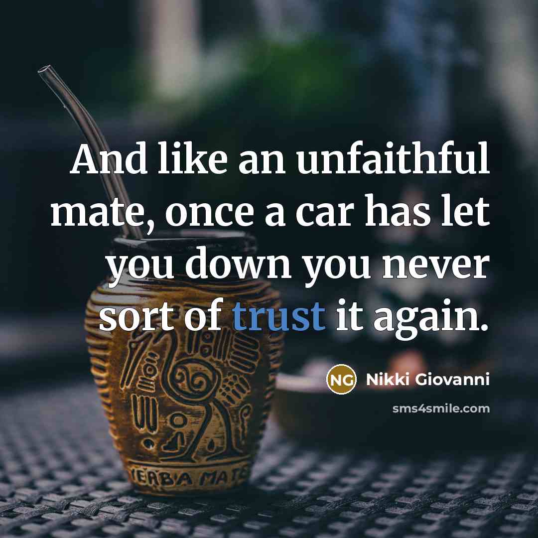 “And like an unfaithful mate, once a car has let…” quote by Nikki Giovanni