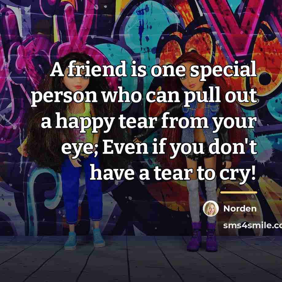 “A friend is one special person who can pull out…” quote by Norden