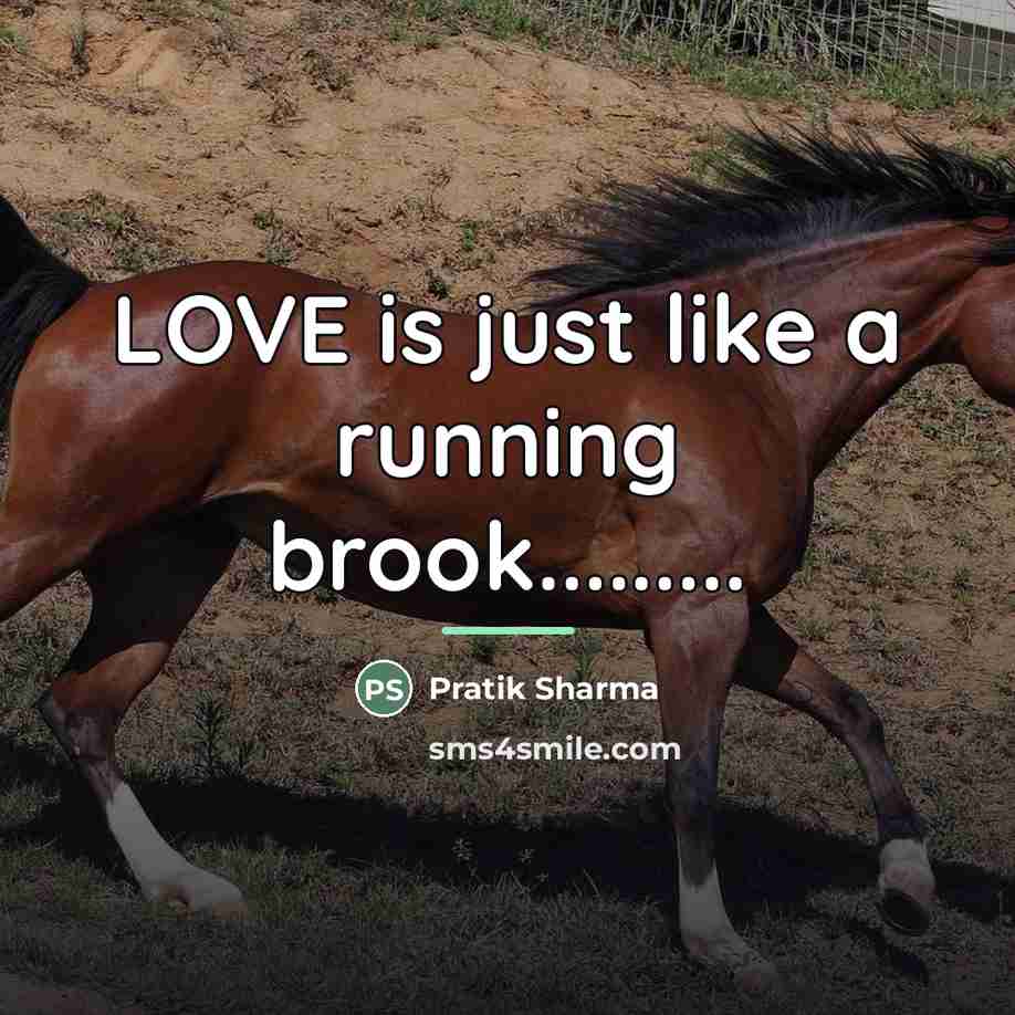 “LOVE is just like a running brook.........…” quote by Pratik Sharma