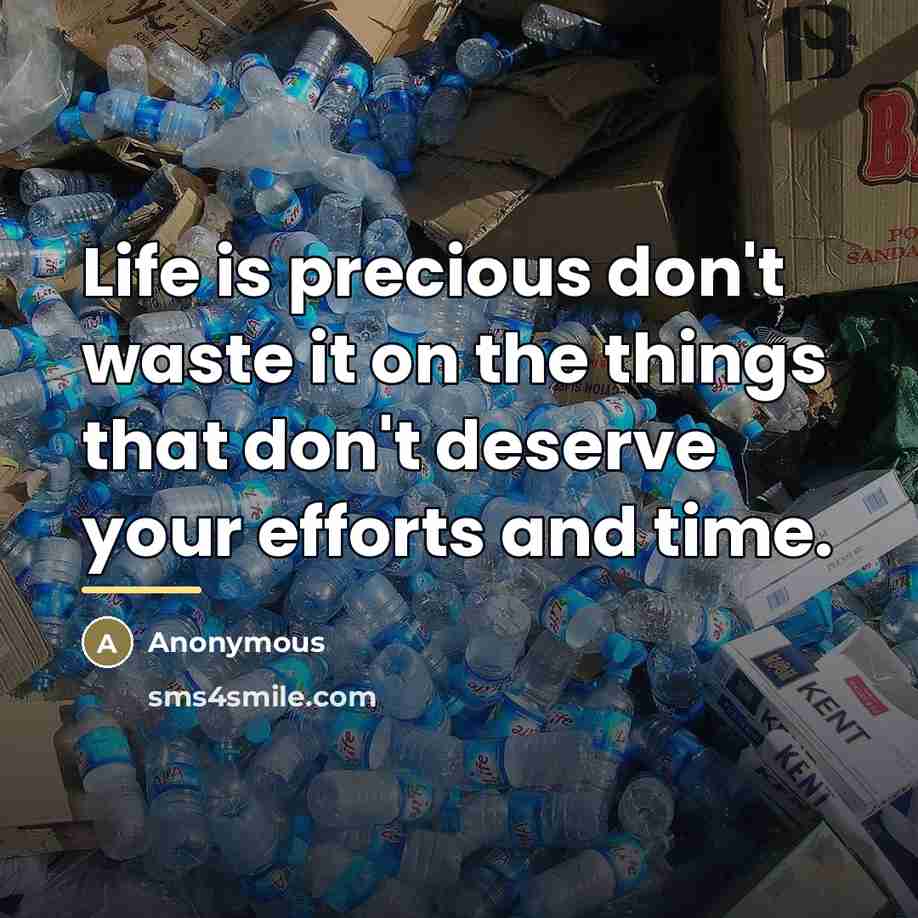“Life is precious don't waste it on the things that…” quote by Anonymous