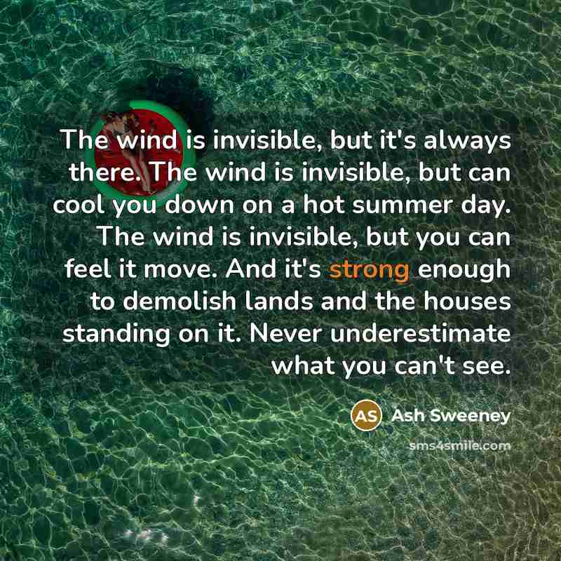 “The wind is invisible, but it's always there. The wind…” quote by Ash Sweeney