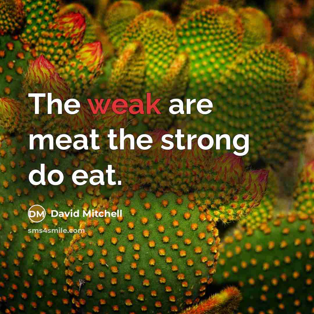 “The weak are meat the strong do eat.…” quote by David Mitchell