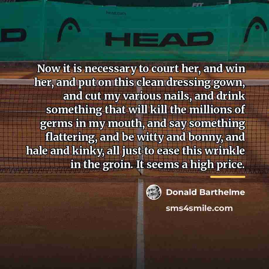 “Now it is necessary to court her, and win her,…” quote by Donald Barthelme