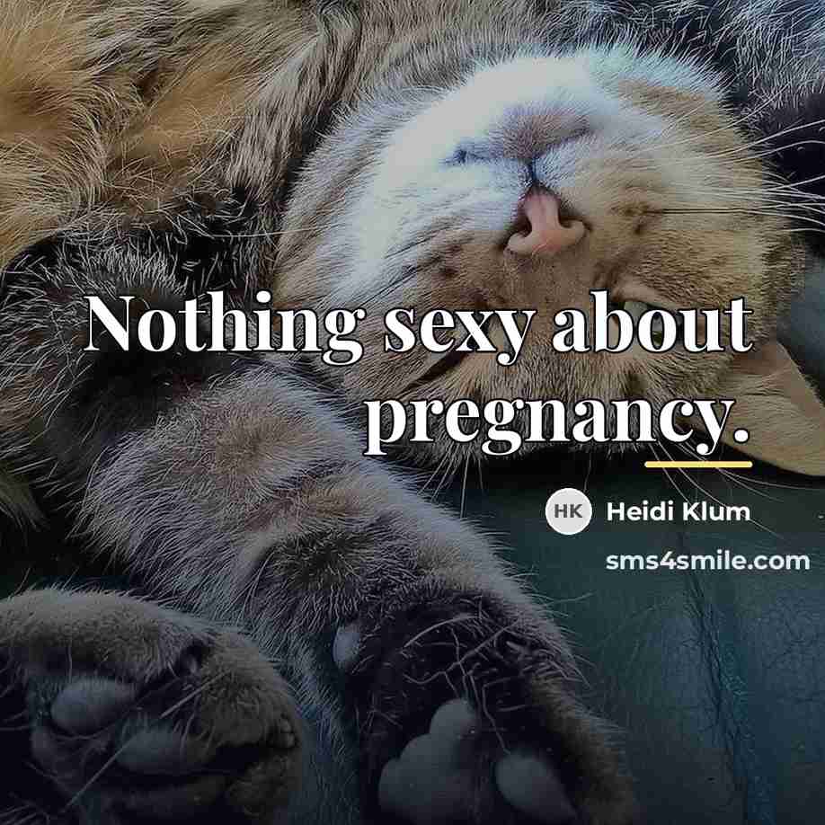 “Nothing sexy about pregnancy.…” quote by Heidi Klum