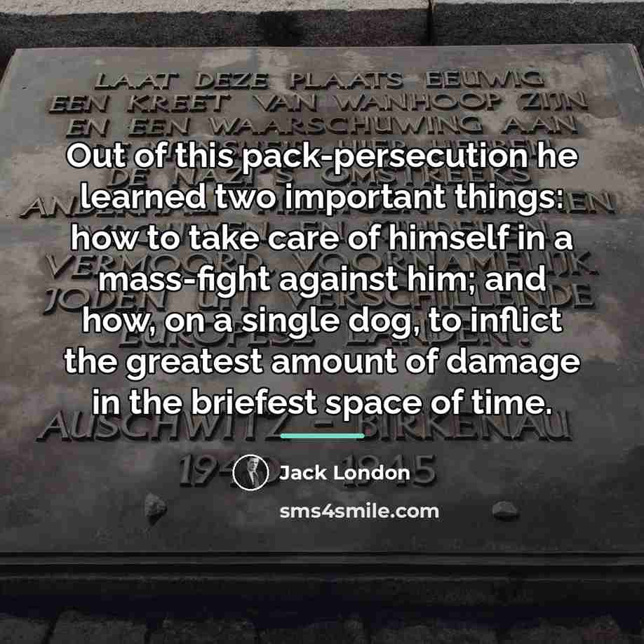 “Out of this pack-persecution he learned two important things: how…” quote by Jack London