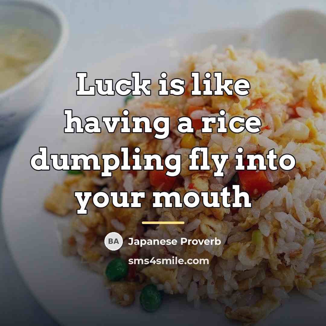 “Luck is like having a rice dumpling fly into your…” quote by Japanese Proverb