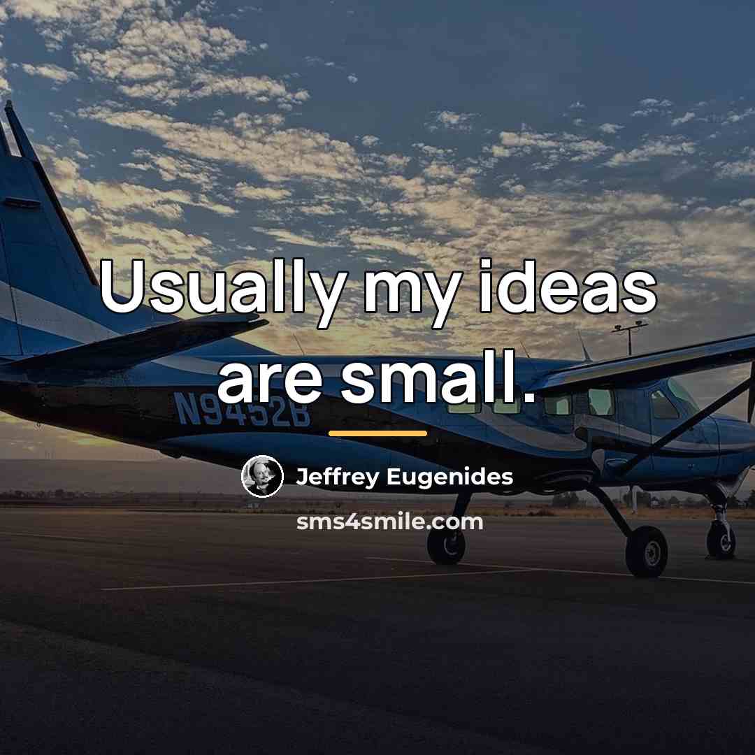 “Usually my ideas are small.…” quote by Jeffrey Eugenides
