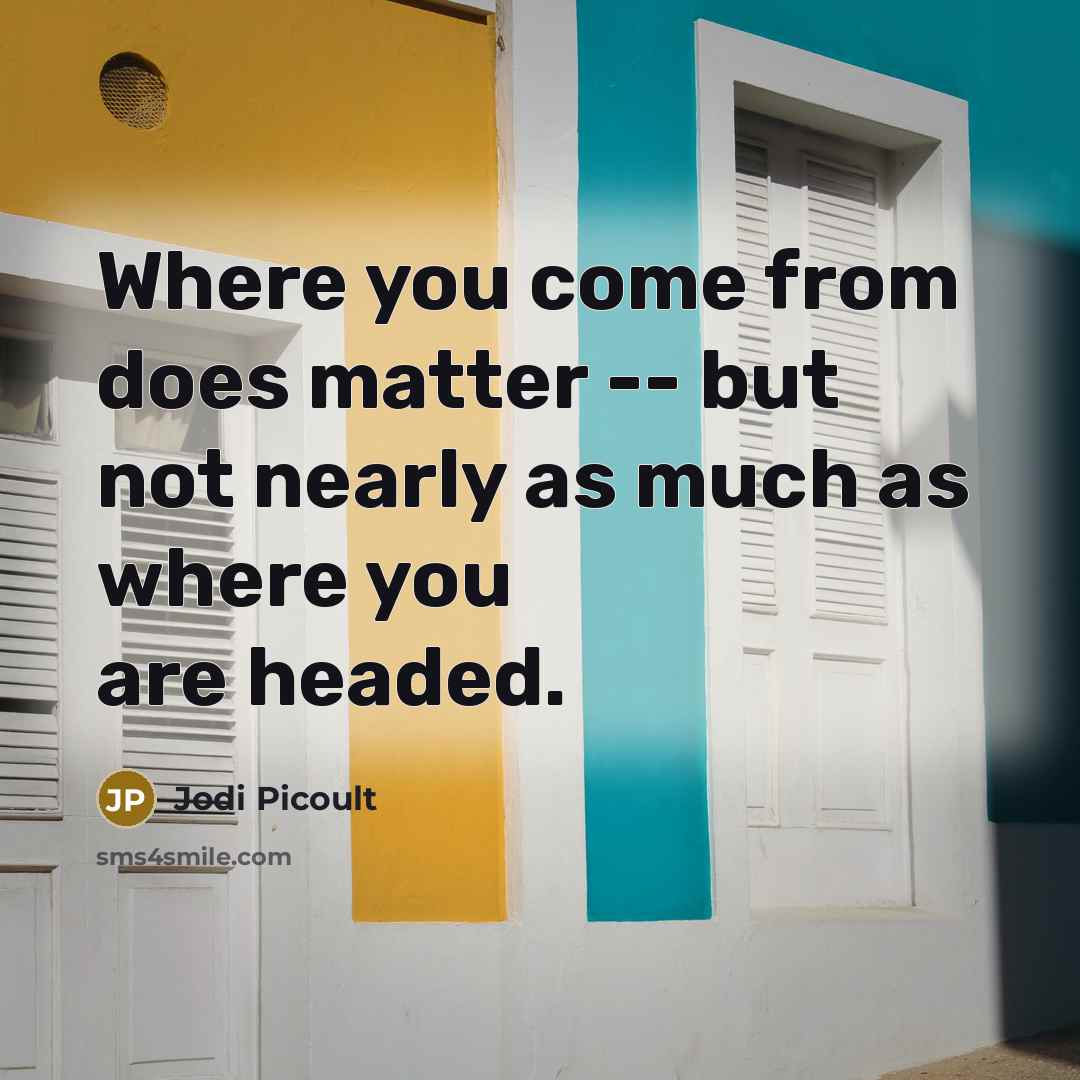 “Where you come from does matter -- but not nearly…” quote by Jodi Picoult