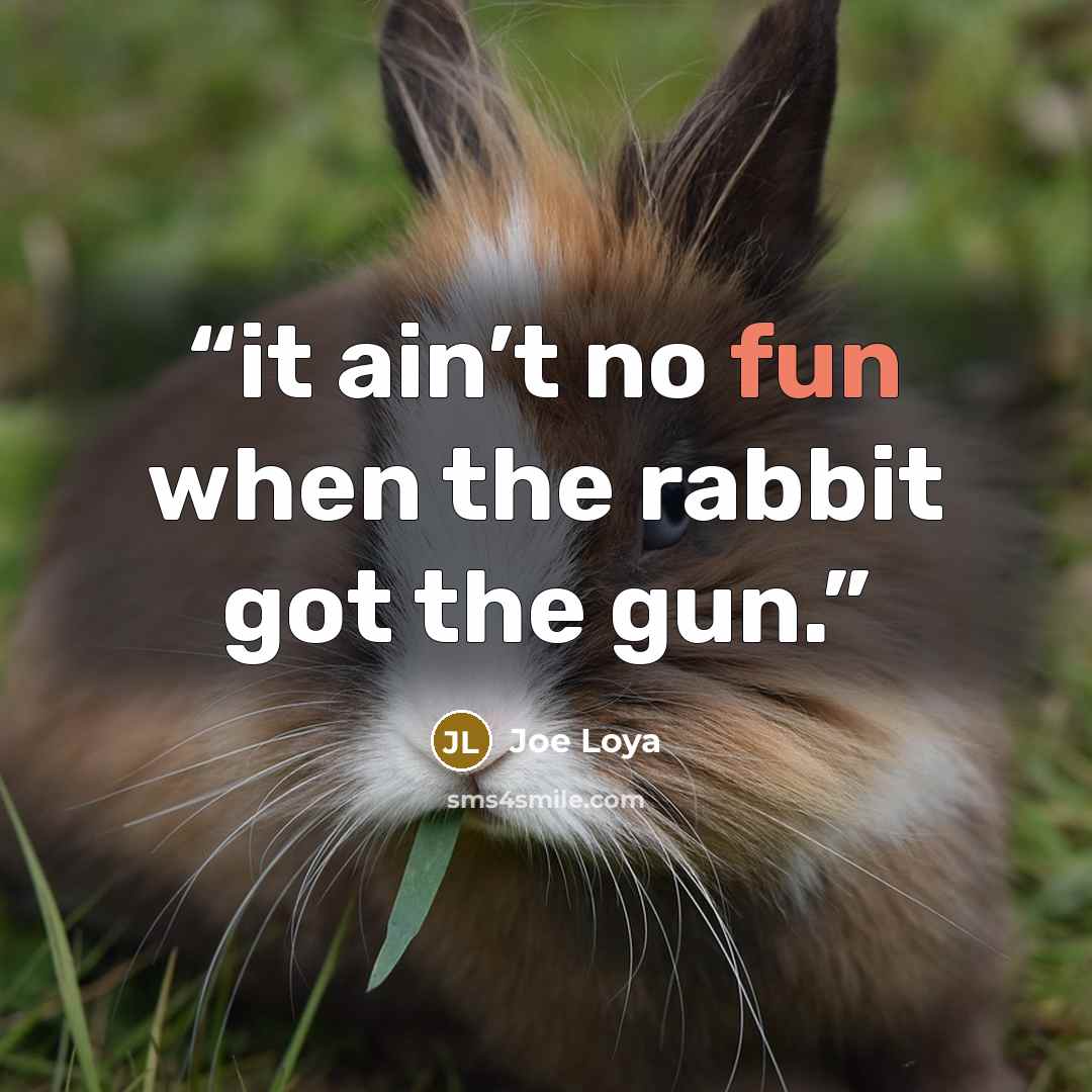 “it ain’t no fun when the rabbit got the gun.” quote by Joe Loya