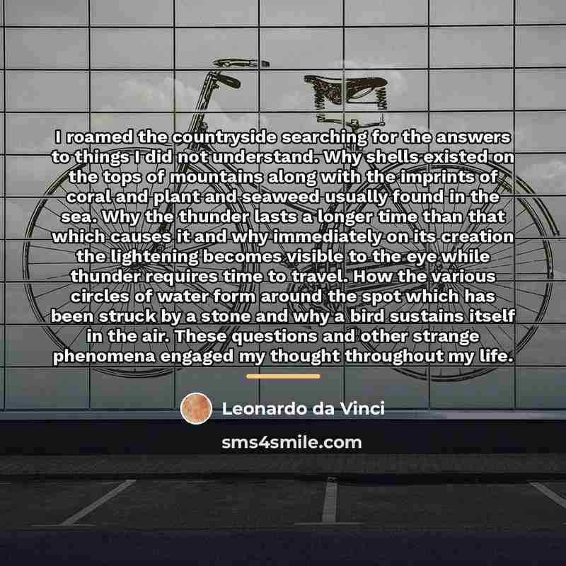 “I roamed the countryside searching for the answers to things…” quote by Leonardo da Vinci
