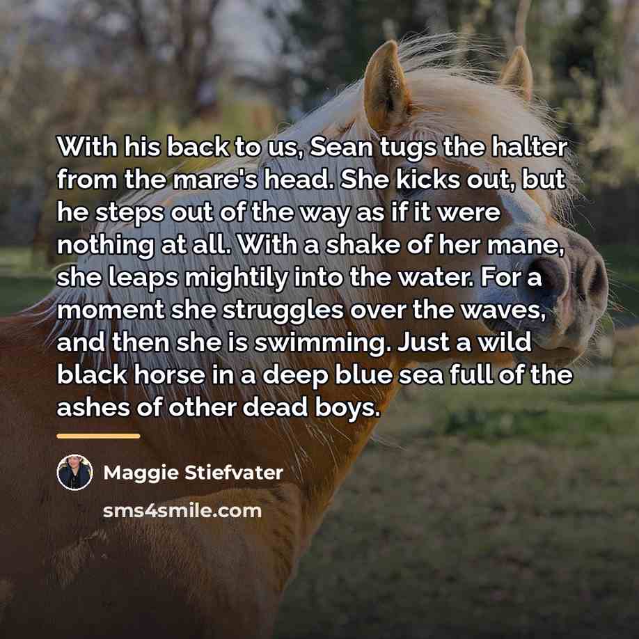 “With his back to us, Sean tugs the halter from…” quote by Maggie Stiefvater