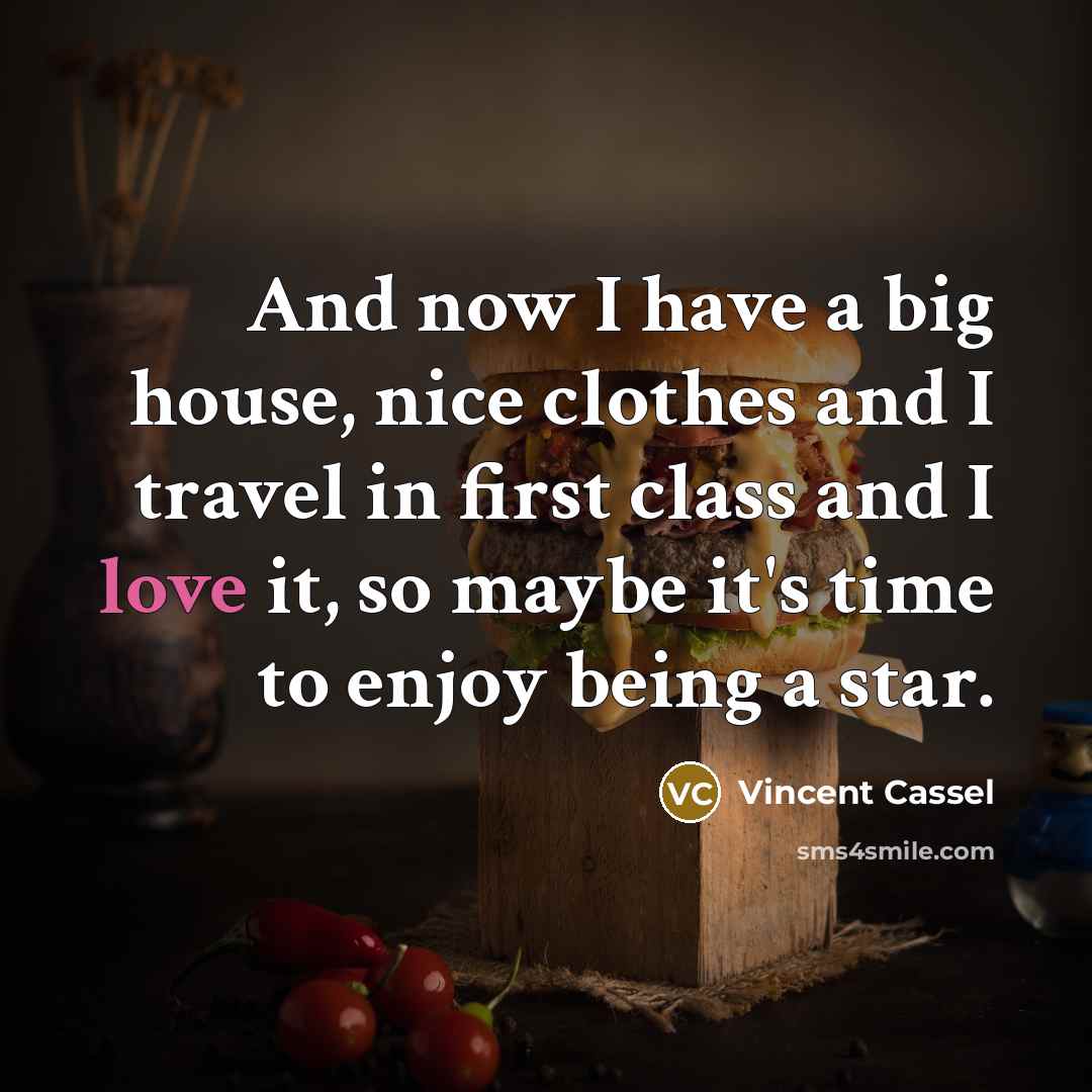“And now I have a big house, nice clothes and…” quote by Vincent Cassel