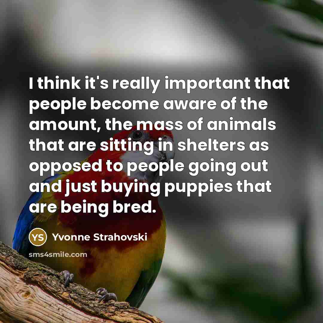 “I think it's really important that people become aware of…” quote by Yvonne Strahovski