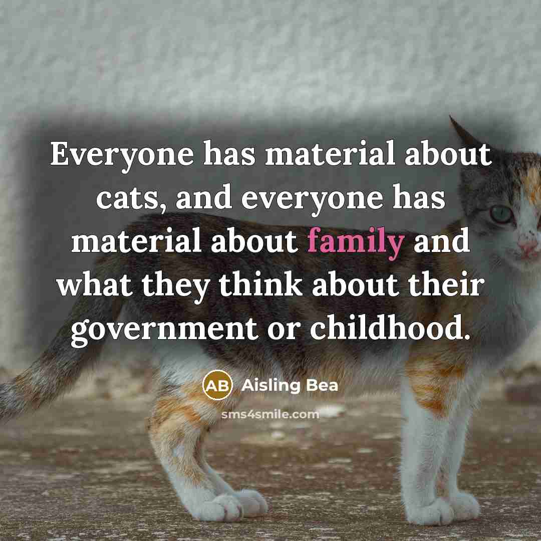 “Everyone has material about cats, and everyone has material about…” quote by Aisling Bea