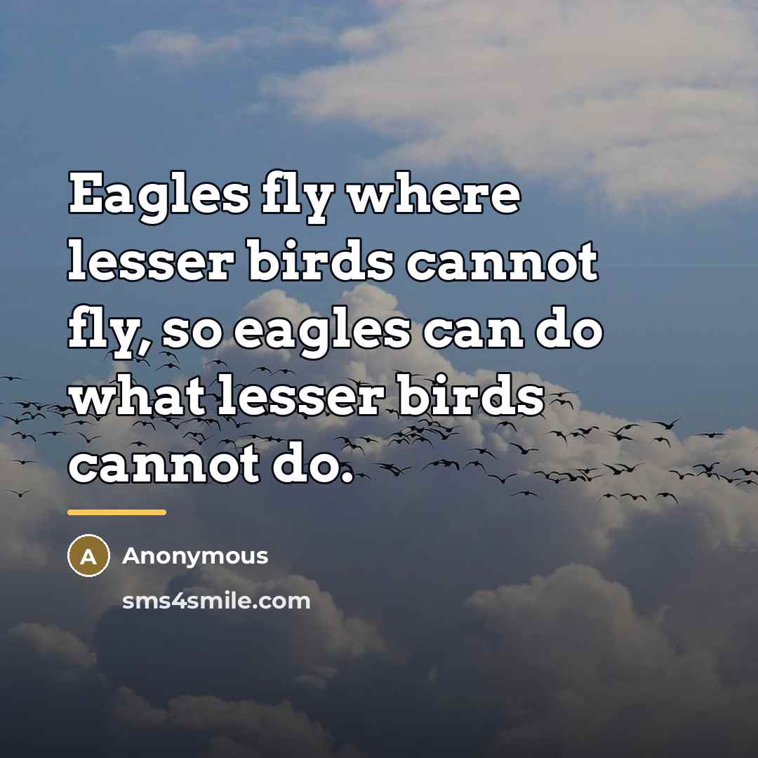 “Eagles fly where lesser birds cannot fly, so eagles can…” quote by Anonymous