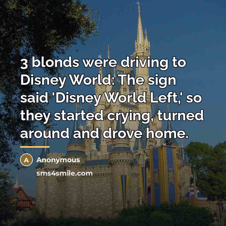 “3 blonds were driving to Disney World: The sign said…” quote by Anonymous