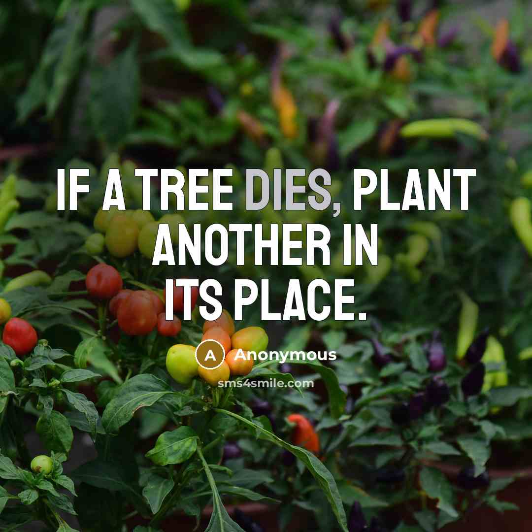 “If a tree dies, plant another in its place.” quote by Anonymous