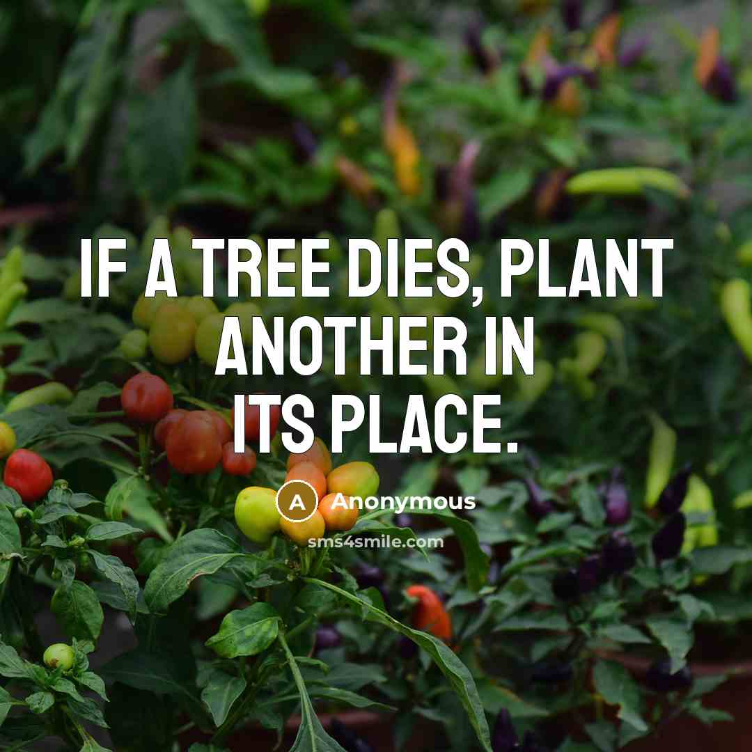 “If a tree dies, plant another in its place.…” quote by Anonymous