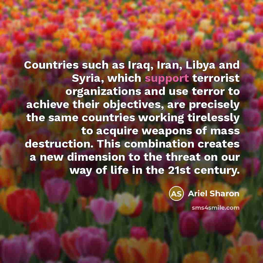 “Countries such as Iraq, Iran, Libya and Syria, which support…” quote by Ariel Sharon