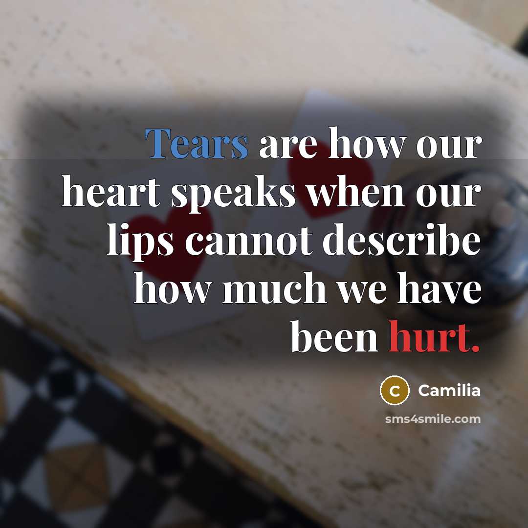 “Tears are how our heart speaks when our lips cannot describe how much we have been hurt.” quote by Camilia