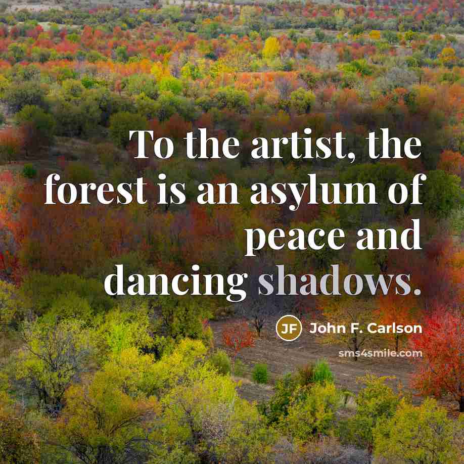 “To the artist, the forest is an asylum of peace…” quote by John F. Carlson