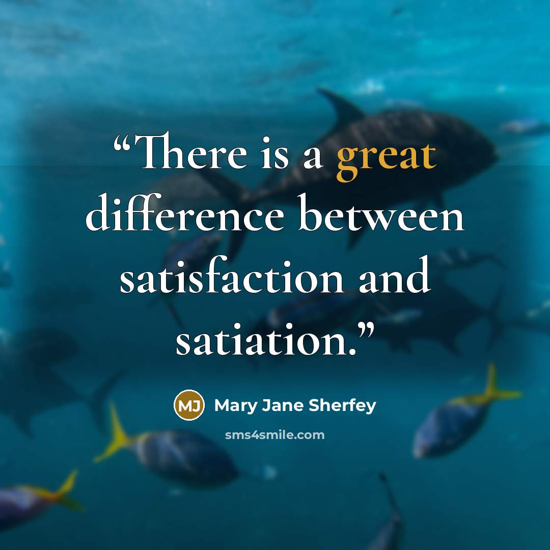 “There is a great difference between satisfaction and satiation.” quote by Mary Jane Sherfey