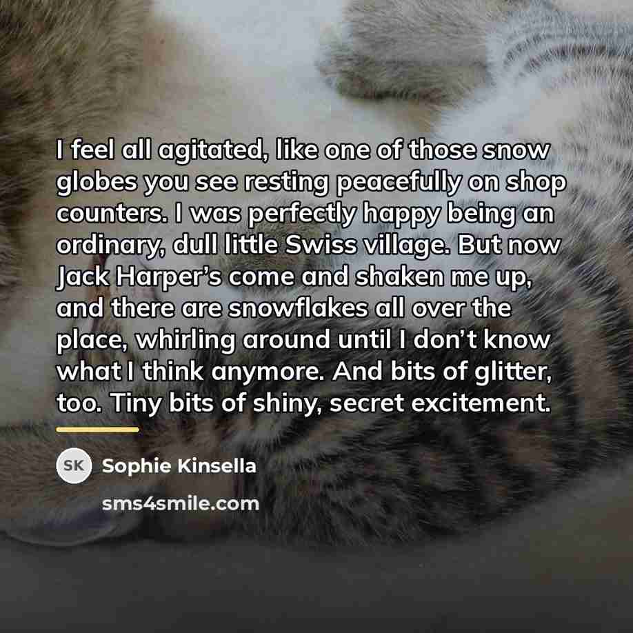“I feel all agitated, like one of those snow globes…” quote by Sophie Kinsella