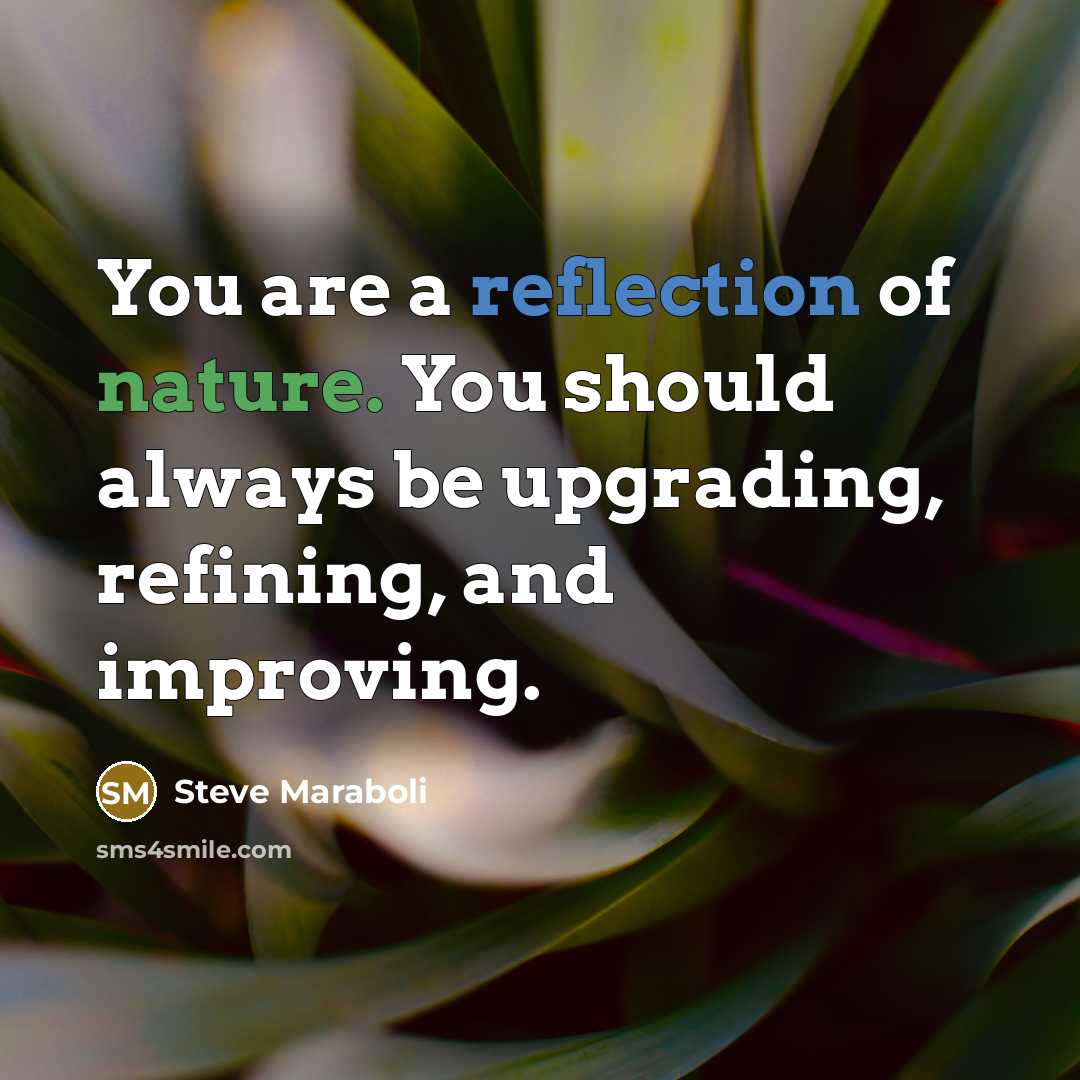 “You are a reflection of nature. You should always be upgrading, refining, and improving.” quote by Steve Maraboli