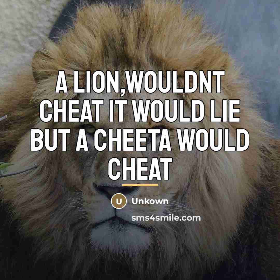 “A lion,wouldnt cheat it would lie but a cheeta would…” quote by Unkown