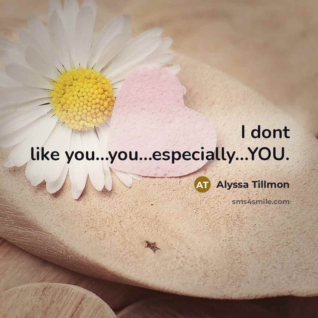 “I dont like you....you....especially.....YOU.…” quote by Alyssa Tillmon