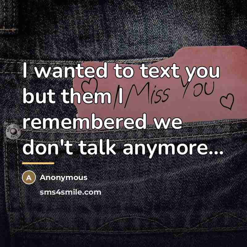 “I wanted to text you but them I remembered we…” quote by Anonymous