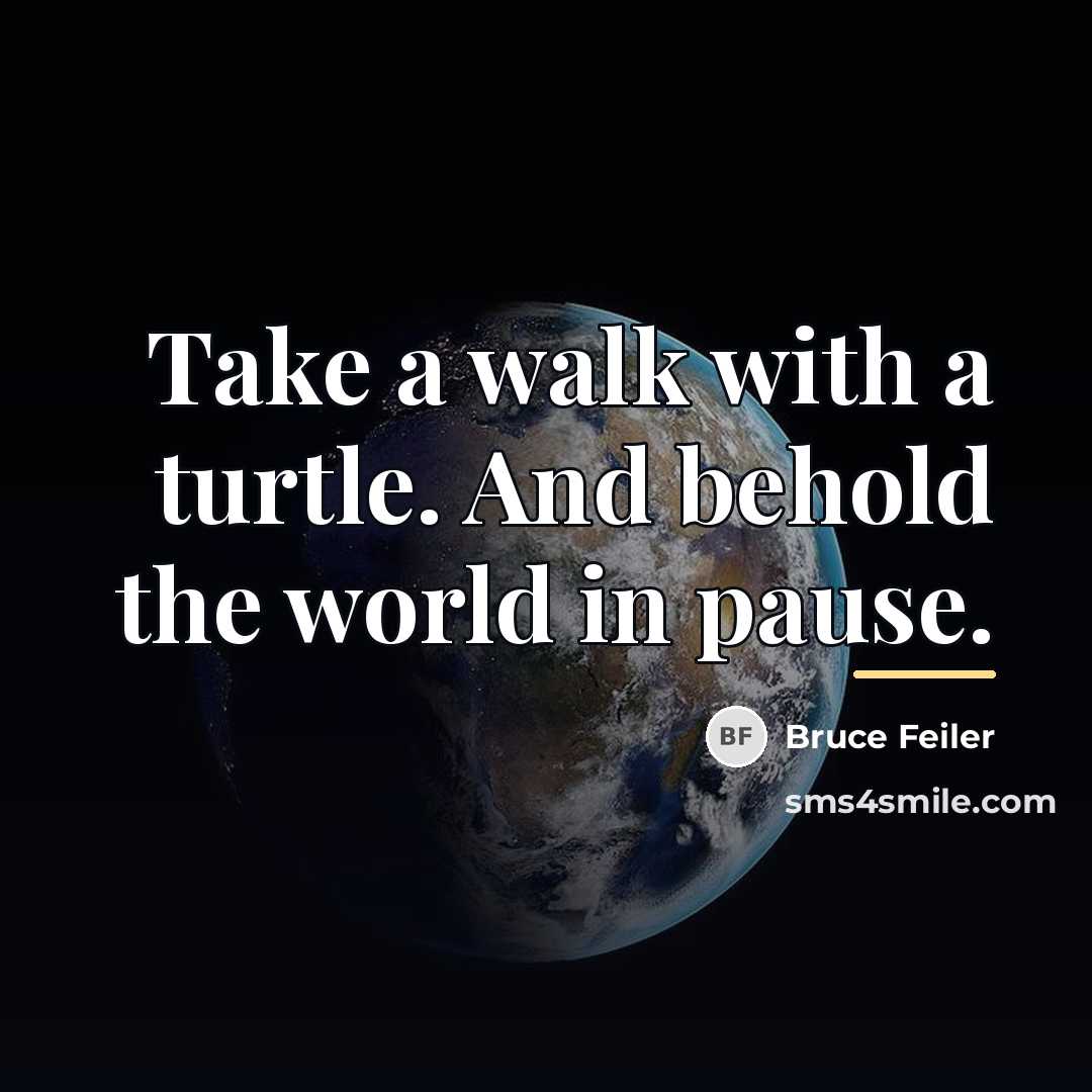 “Take a walk with a turtle. And behold the world…” quote by Bruce Feiler