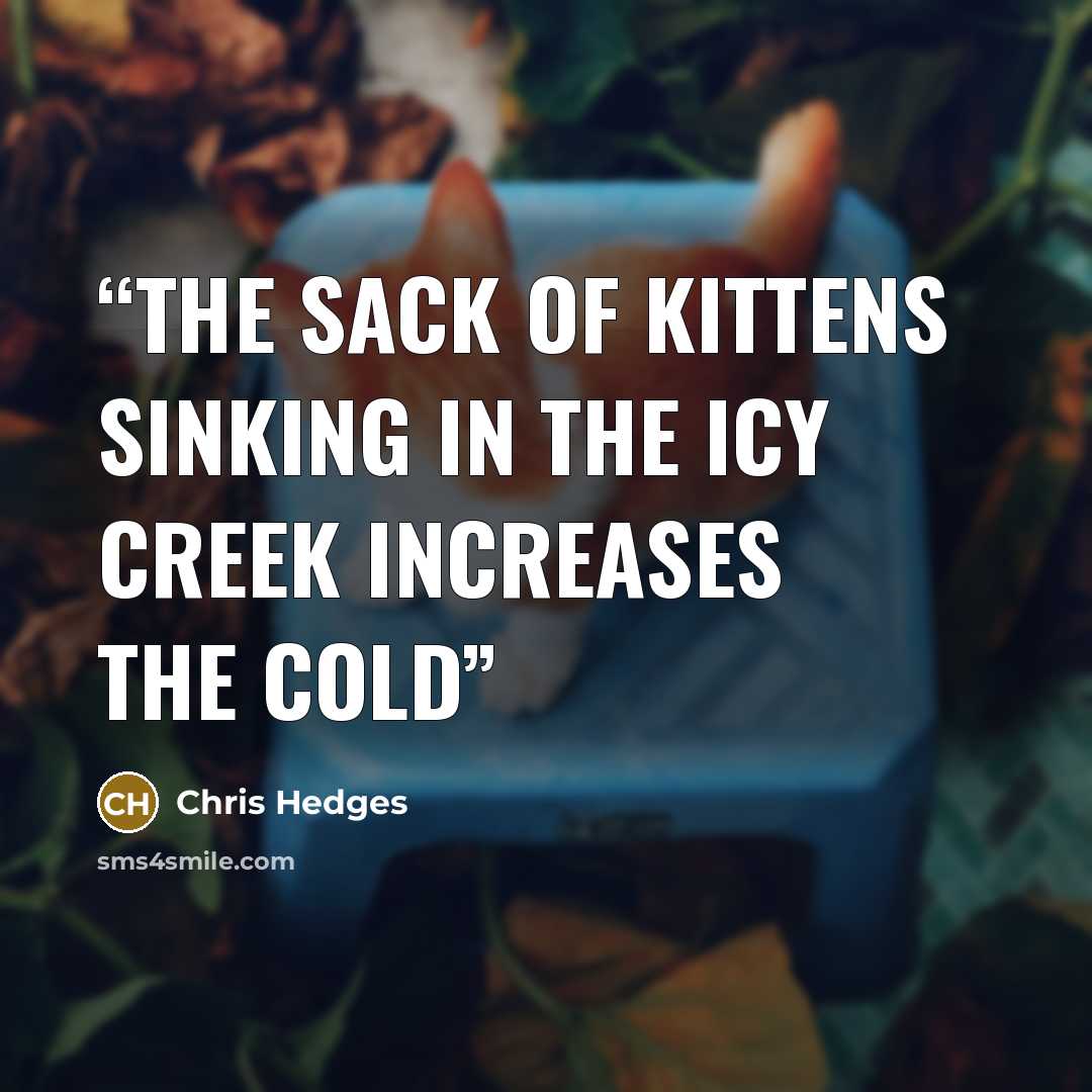 “the sack of kittens sinking in the icy creek increases the cold” quote by Chris Hedges