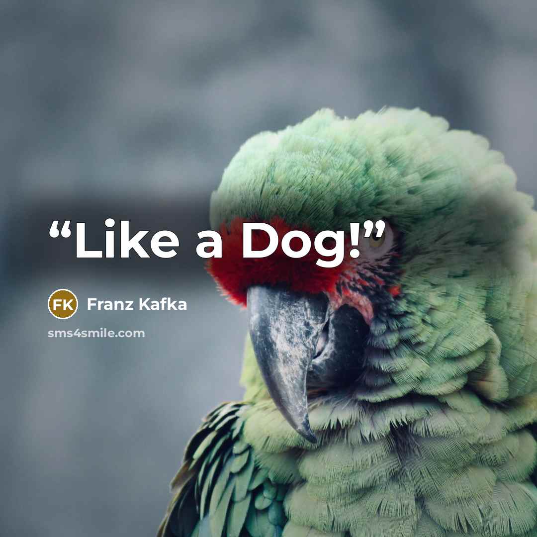 “Like a Dog!” quote by Franz Kafka