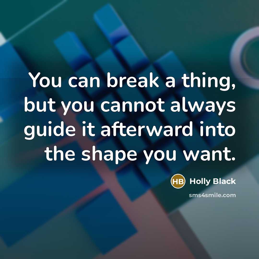 “You can break a thing, but you cannot always guide…” quote by Holly Black