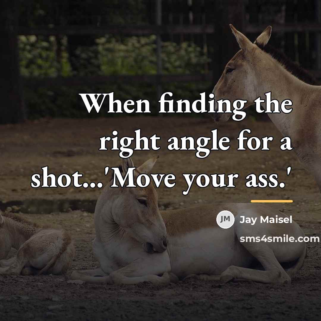 “When finding the right angle for a shot...'Move your ass.'…” quote by Jay Maisel