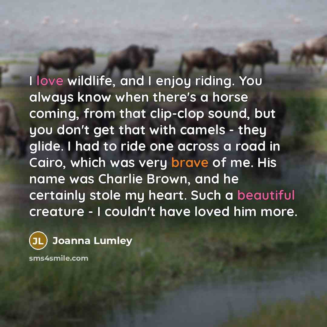 “I love wildlife, and I enjoy riding. You always know…” quote by Joanna Lumley