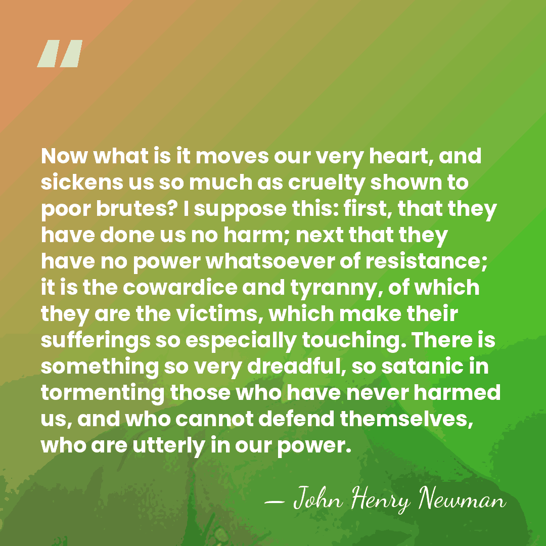 Now what is it moves our very heart, and sickens us so&hellip; - John Henry Newman