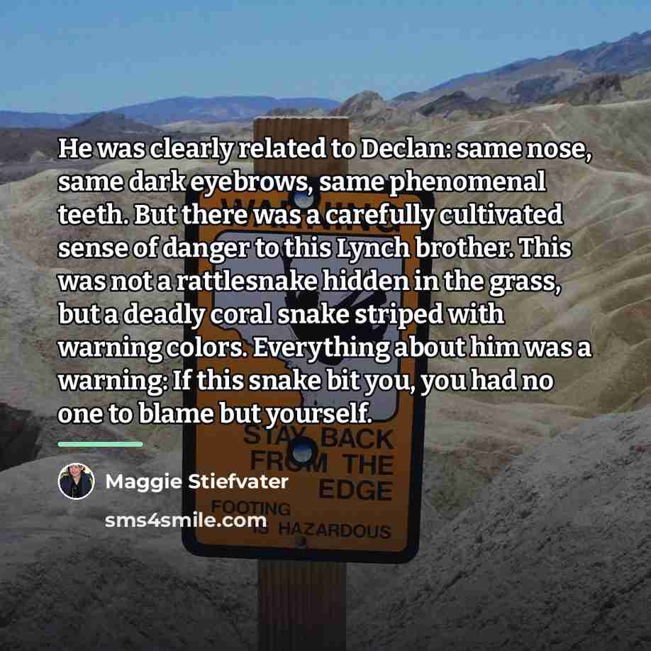 “He was clearly related to Declan: same nose, same dark…” quote by Maggie Stiefvater