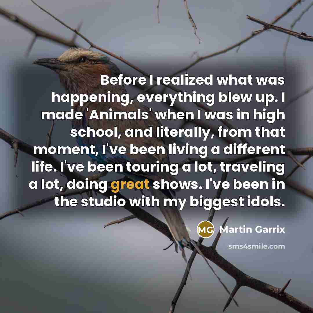 “Before I realized what was happening, everything blew up. I…” quote by Martin Garrix