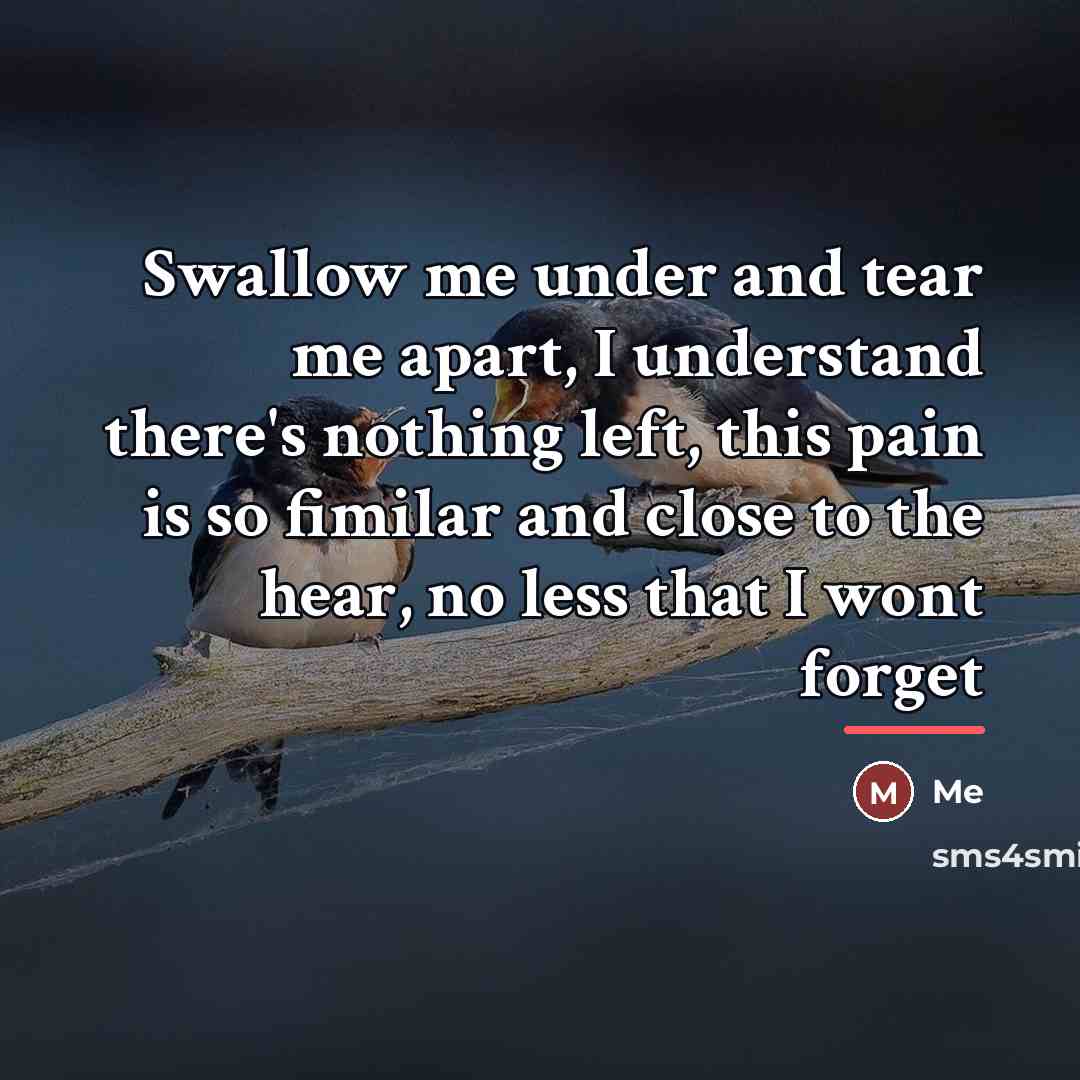 “Swallow me under and tear me apart, I understand there's…” quote by Me